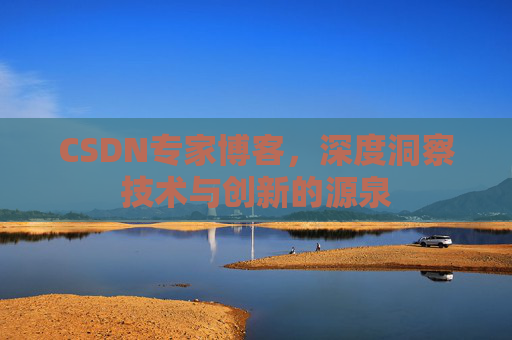 CSDN专家博客，深度洞察技术与创新的源泉